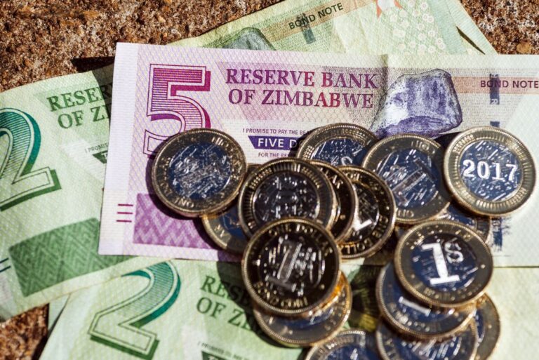 Zimbabwe lets currency free-fall