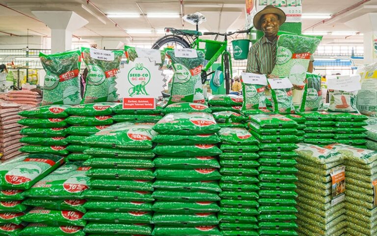 Cost optimisation sees Seedco Q3 earnings up 25pc