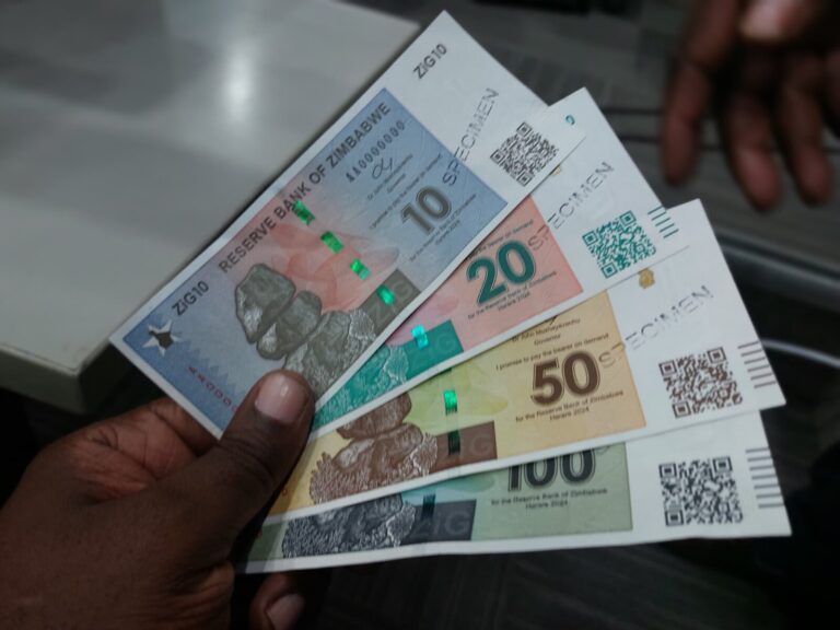 Zimbabwe’s new currency assigned own code