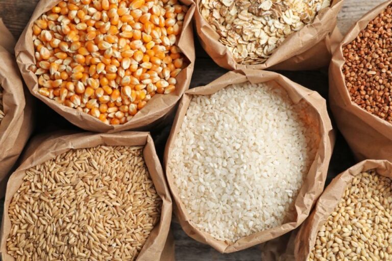 Zimbabwe targets higher cereal production