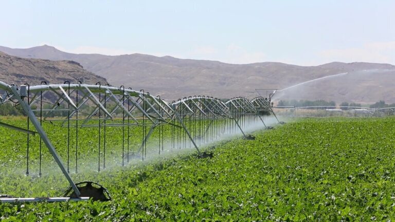 Government partners private sector in irrigation