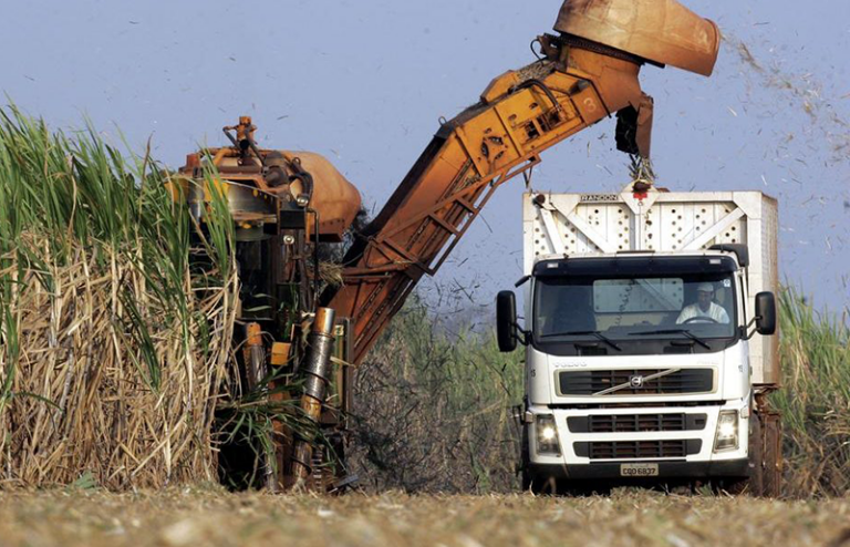 Hippo valley in cash generation drive