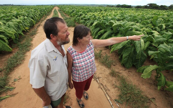 Bank offers US$35bn to compensate white farmers