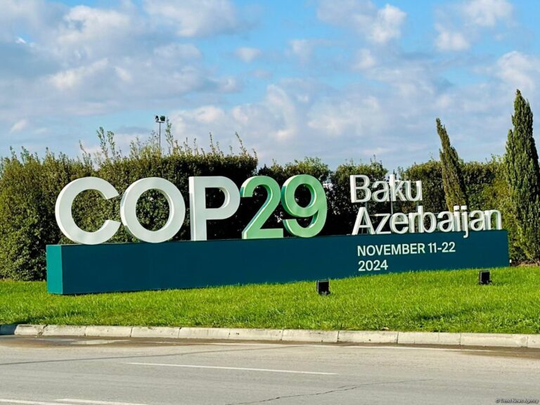 Zimbabwe seeks climate finance boost at cop29