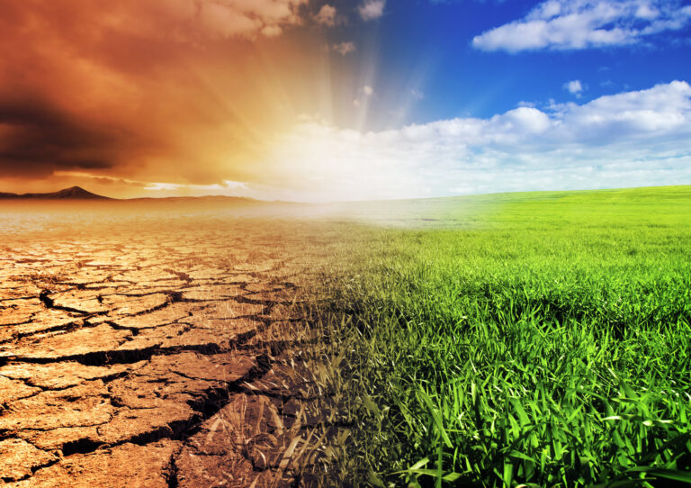 Zimbabwe needs US$10 billion for climate adaptation