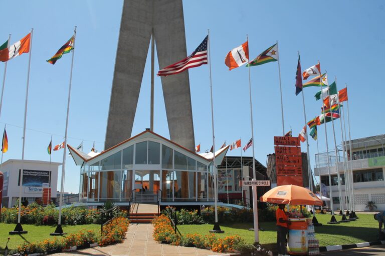 Private sector growth critical for ZITF: Moyo