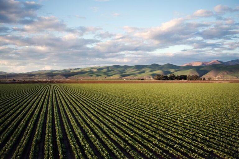 Zim land tenure reforms key ― EU
