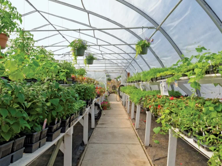 ‘Land security key to investment in horticulture’
