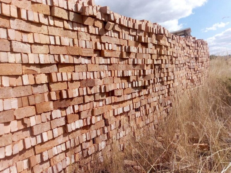 Illegal brick-making on the rise